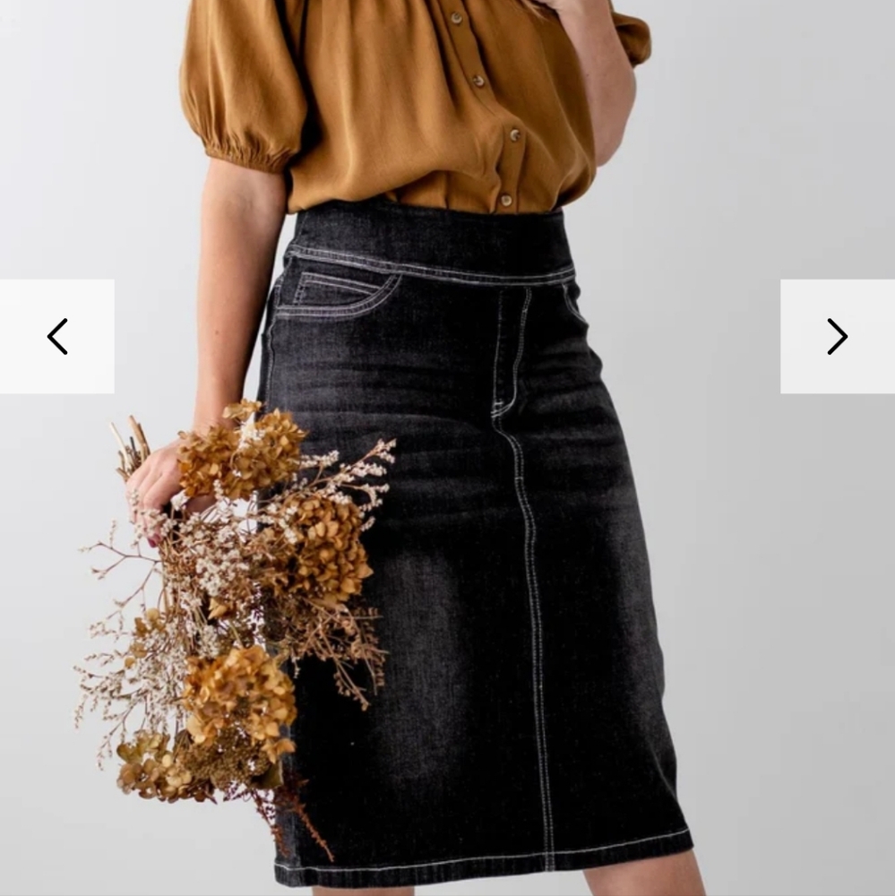 Main Street Exchange Classic Sara Skirt Knee Length Sizes 6 and 8